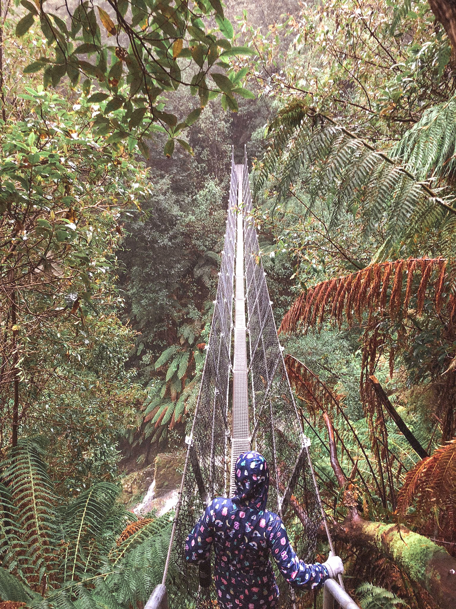 48406312_523335864837295_539168191222382592_n-2