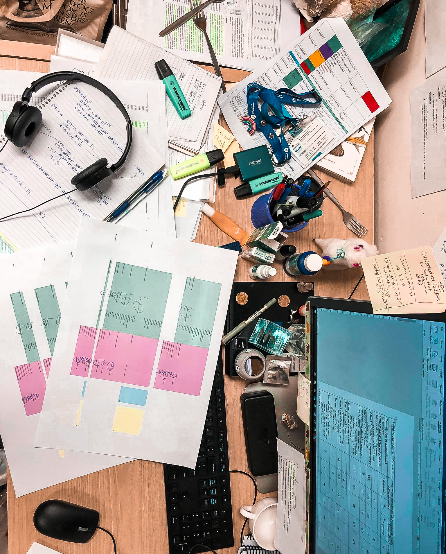 48241566_276106409718453_2255552416806076416_n-2