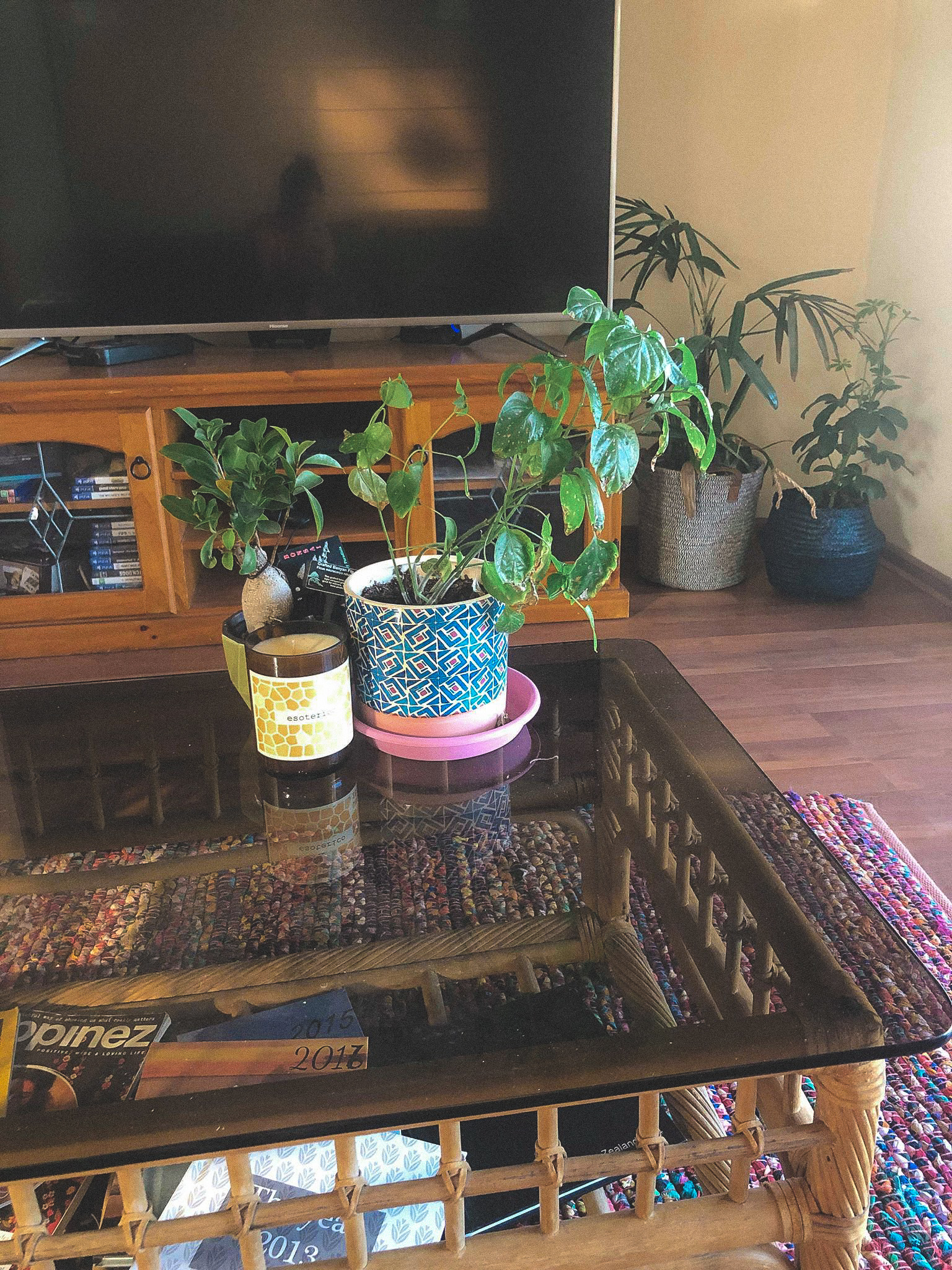 49191235_477840322741543_2109698114867691520_n-2