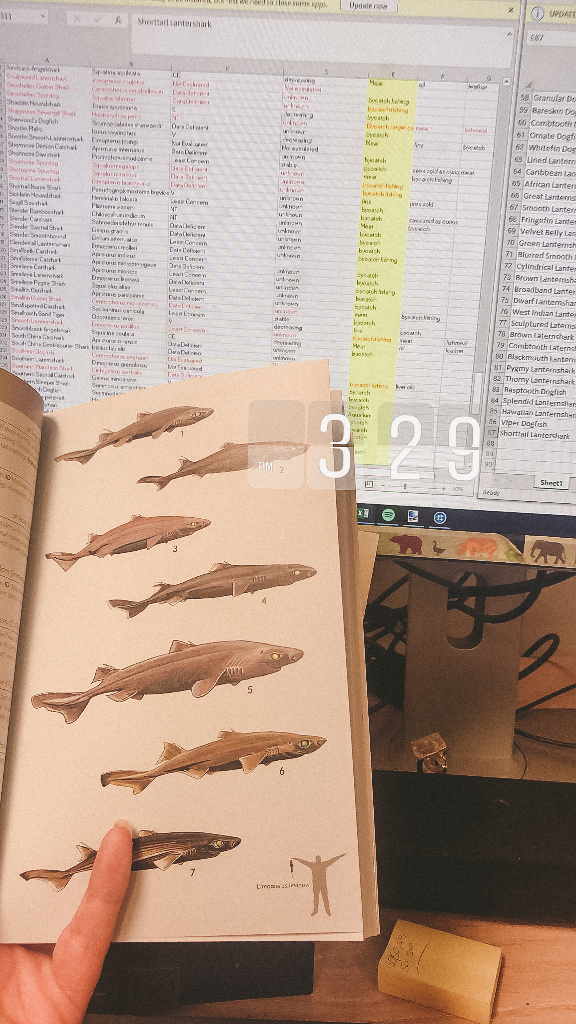 49395797_2236286089973936_6733876204589285376_n-2