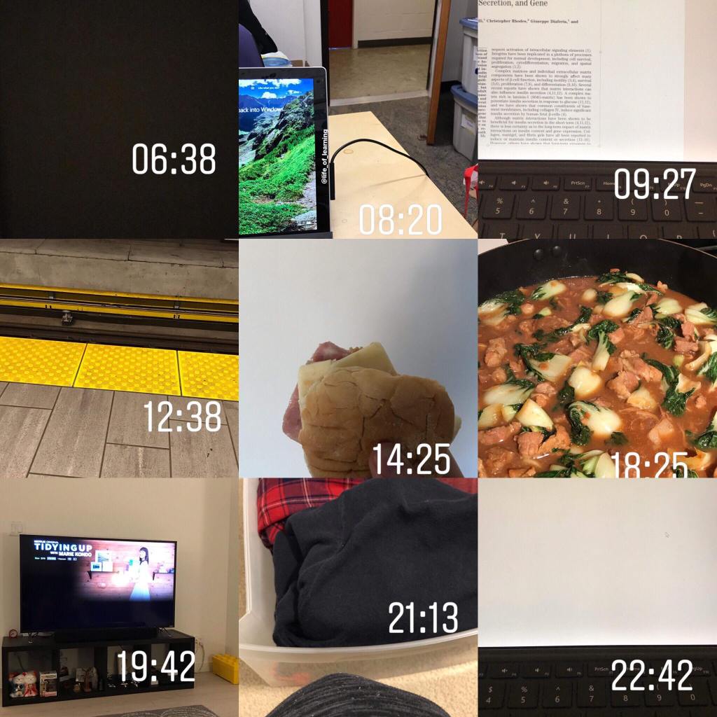 Featured ‘Day in the life of’: Connie, PhD student researching obesity and&nbsp;diabetes