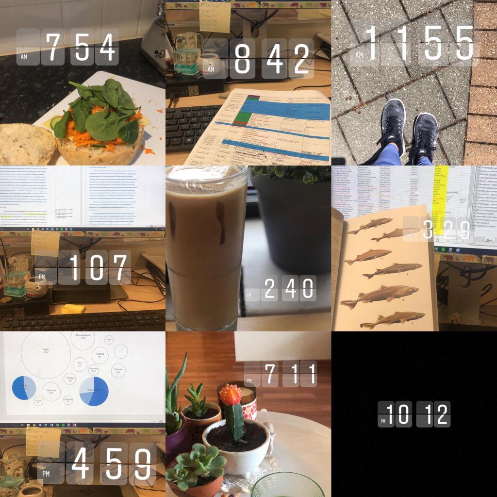 Day-to-Day life of a PhD student: 7th January&nbsp;2019