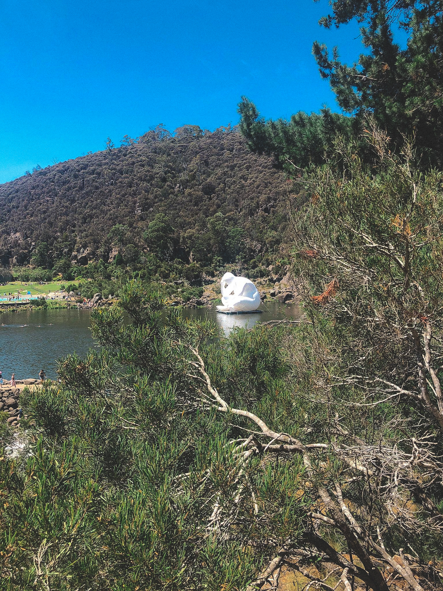 50309823_2006786142950517_5075971102656692224_n-2