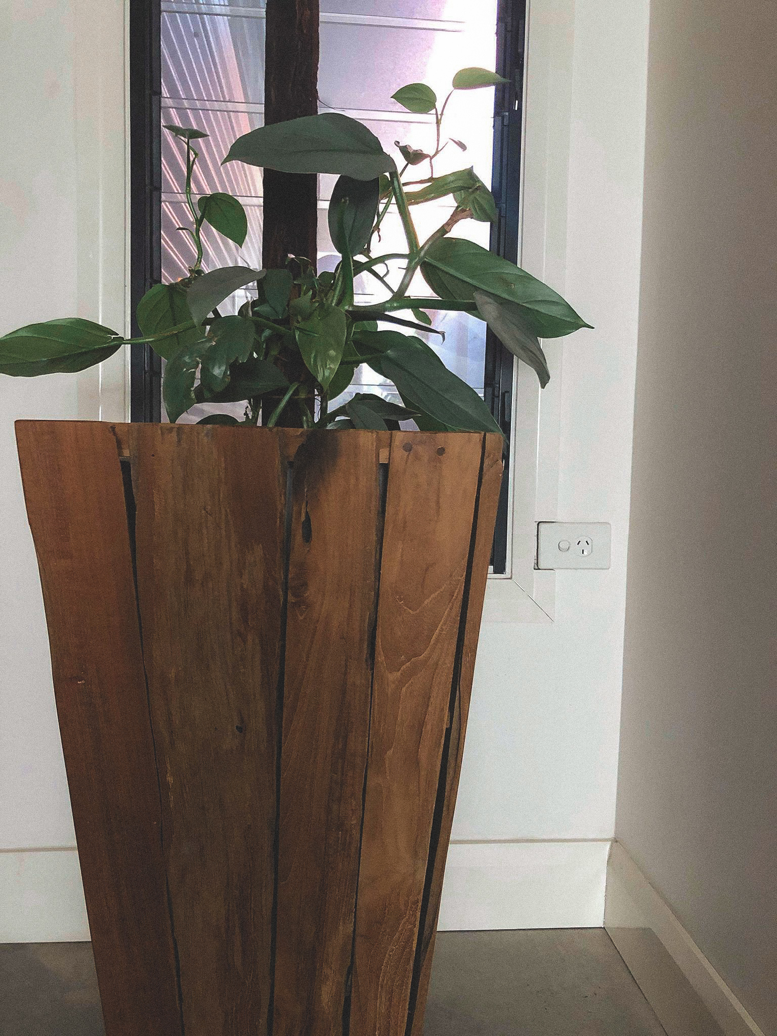 50919575_231335004467021_2471878726820823040_n-2