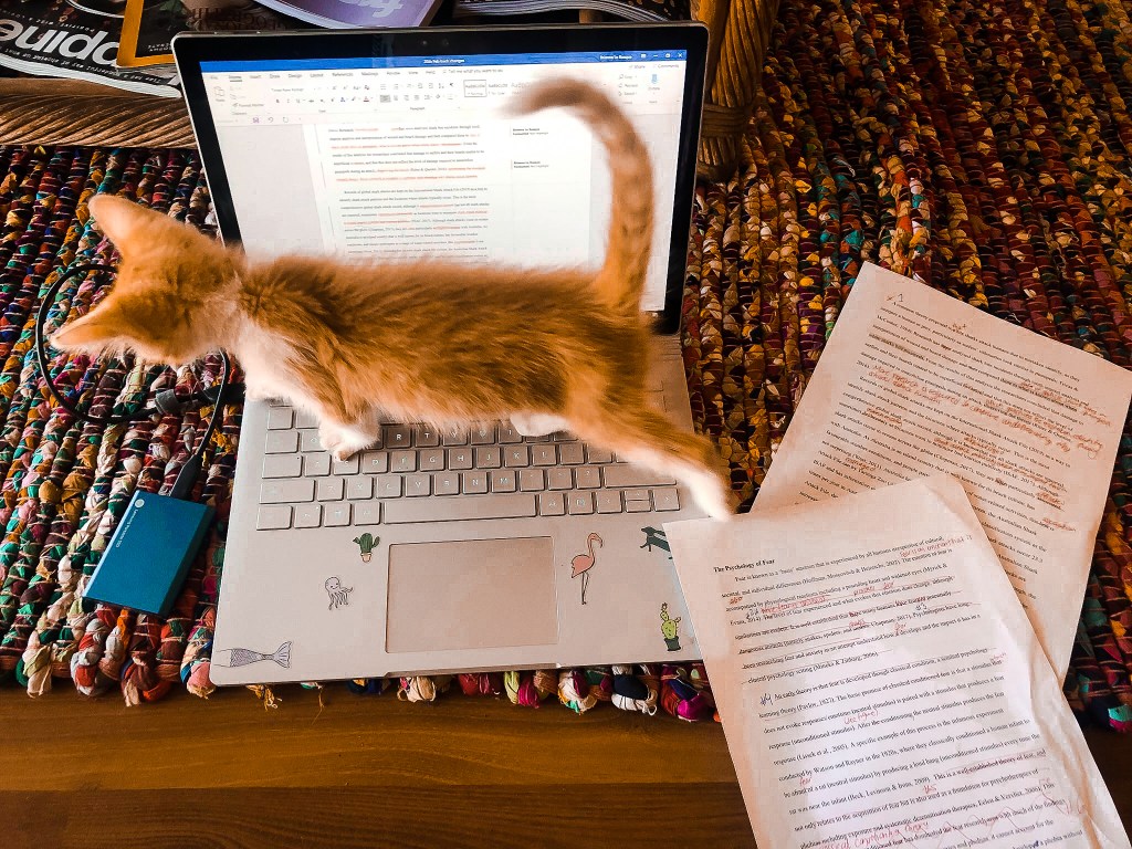 ‘Operation GTFO’- How to write about a complicated&nbsp;theory/idea.