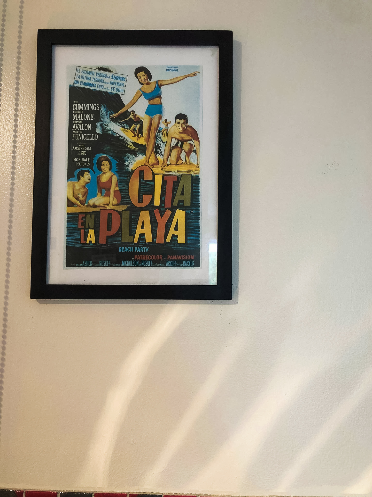 54519561_2292955574306693_1195973556702281728_n-2