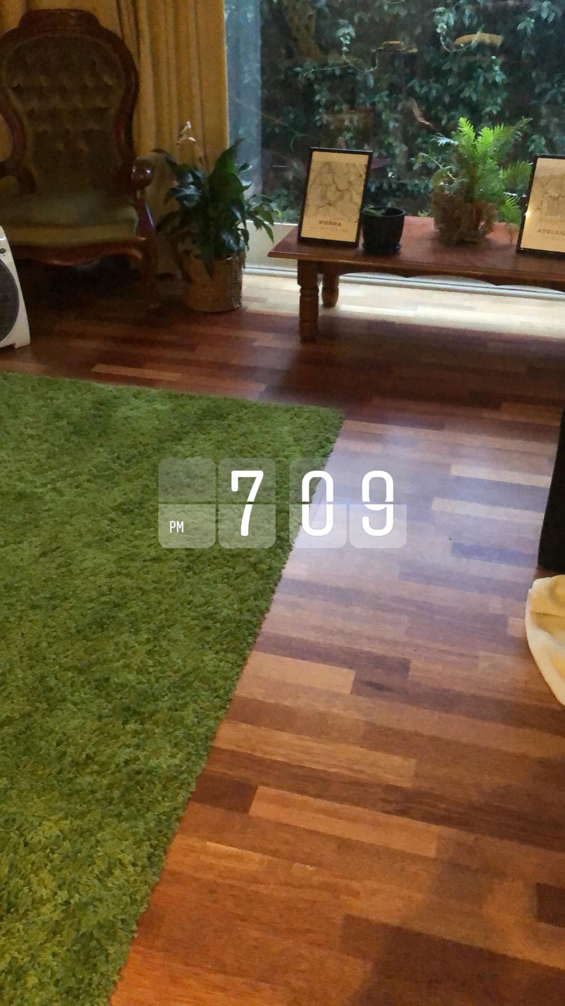 56542039_298791534150146_4223996912803512320_n