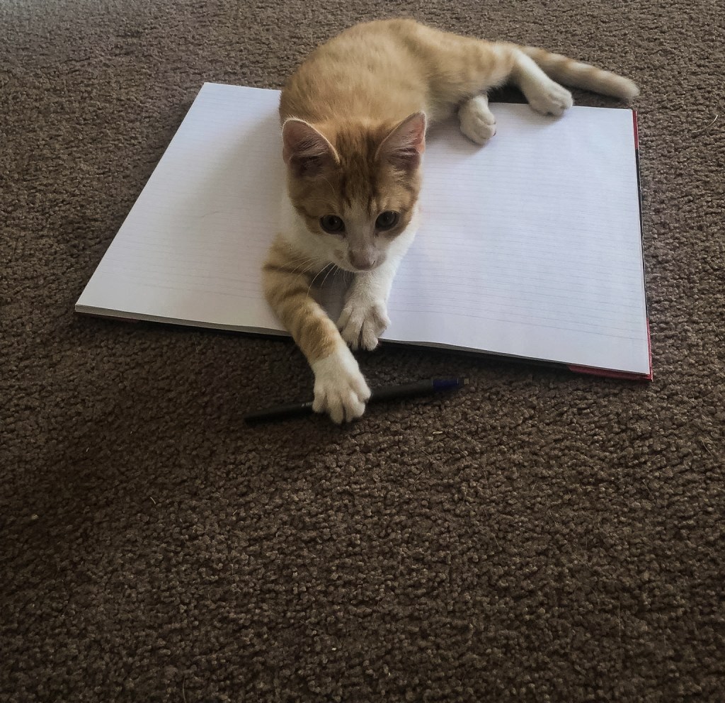 Chronicles of the PhD&nbsp;years.