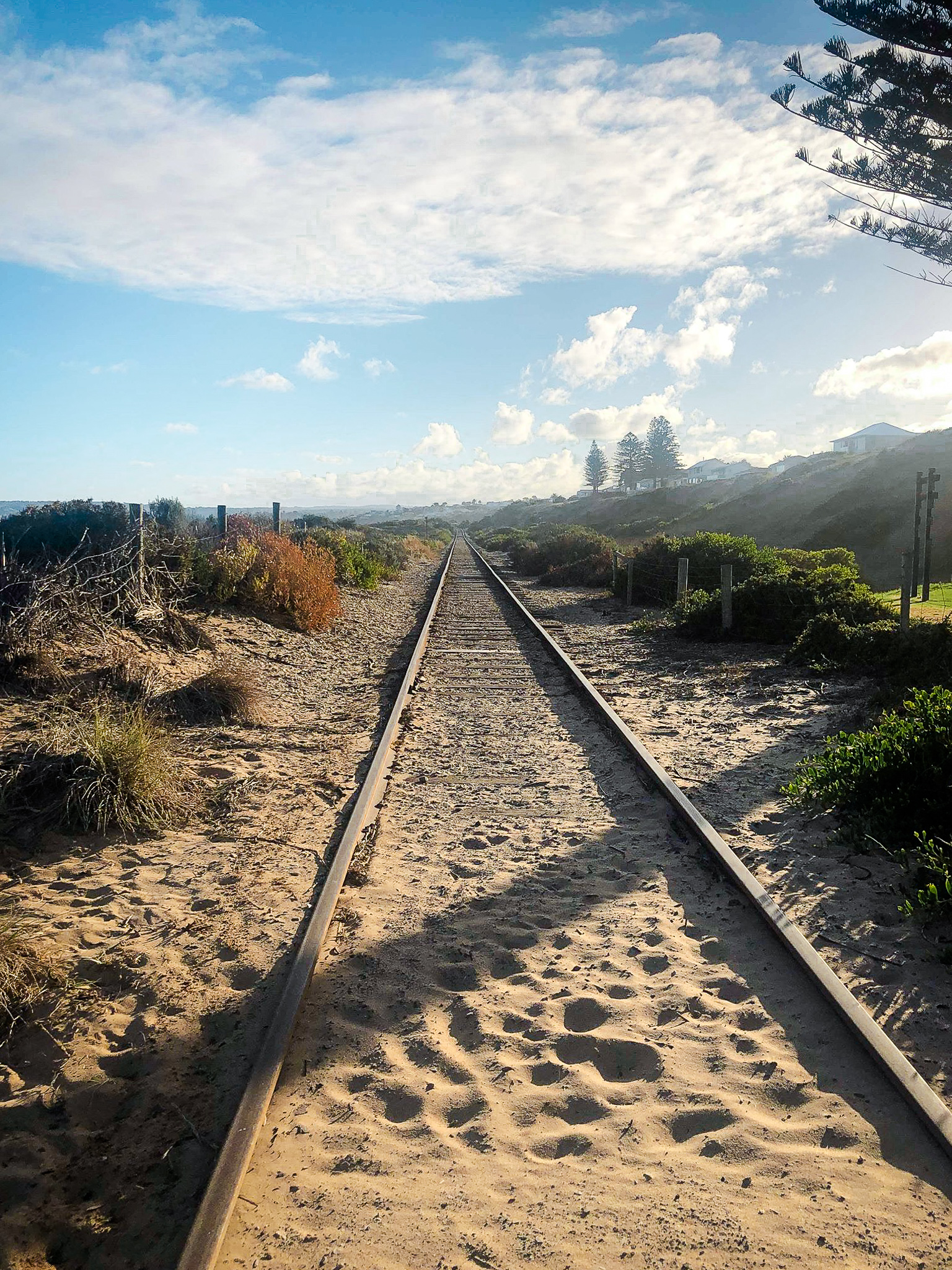 57619099_381810062662474_2650141997276332032_n