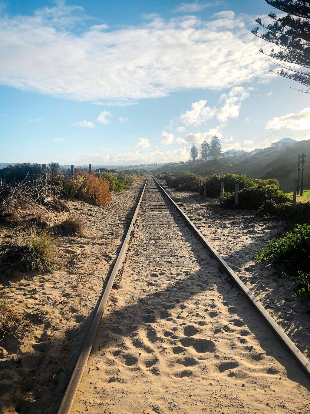 Another post about the fact I have no idea what to do after a&nbsp;PhD