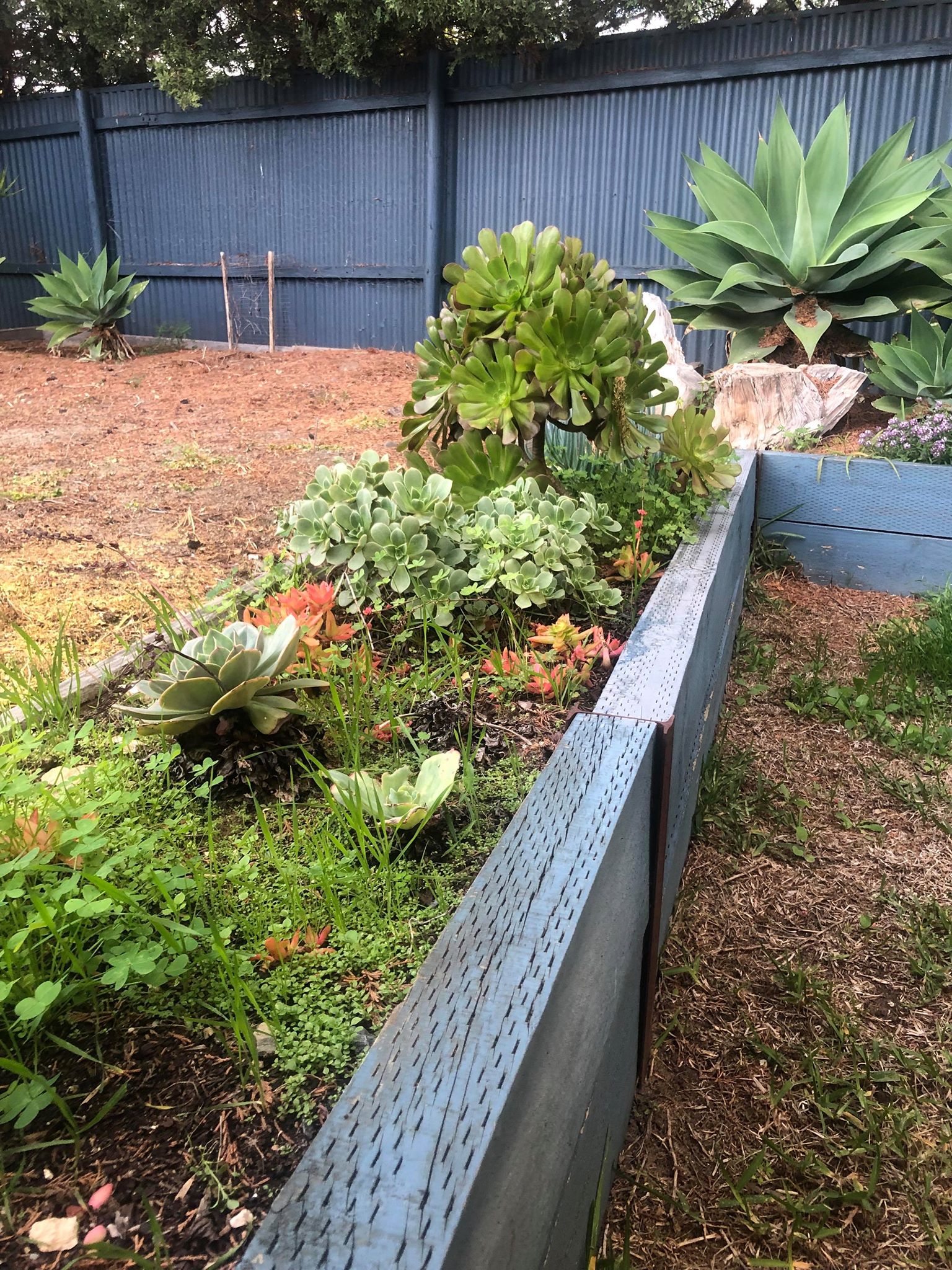 66279457_444594249431512_7516655791244312576_n