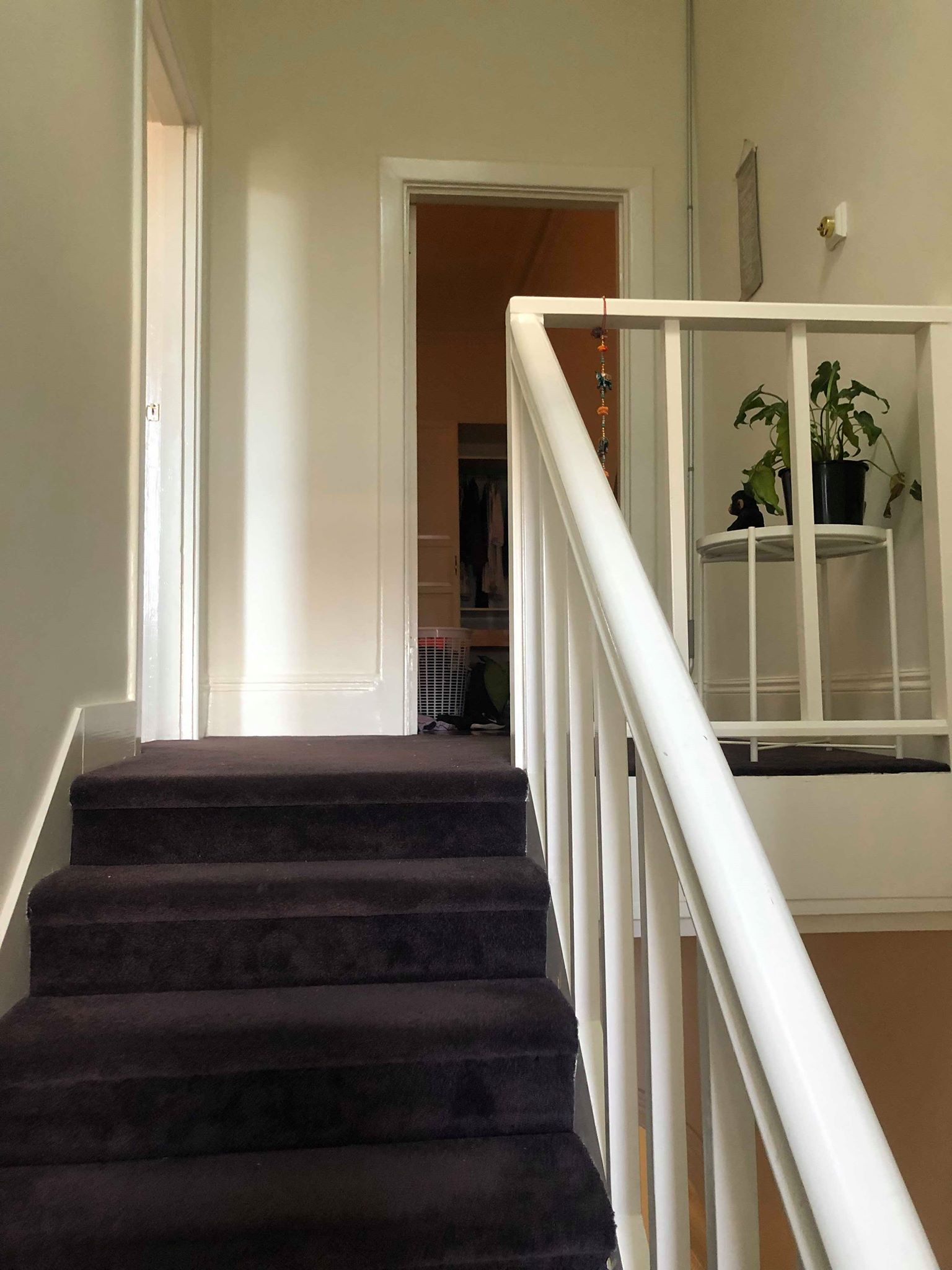 67131827_2396272680609783_7098073406767104_n