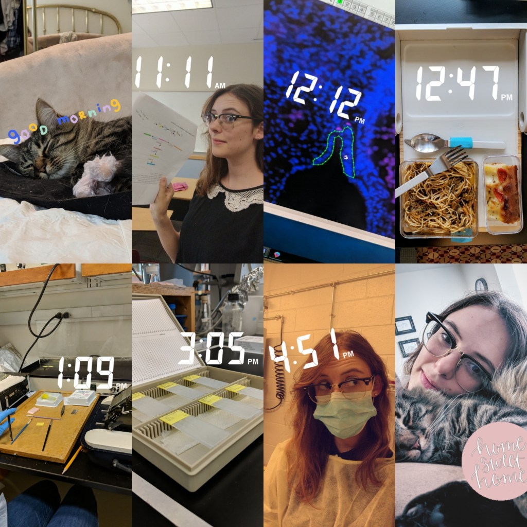 Featured ‘Day in the life of’: Barbara, PhD student studying genetics and developmental&nbsp;biology.