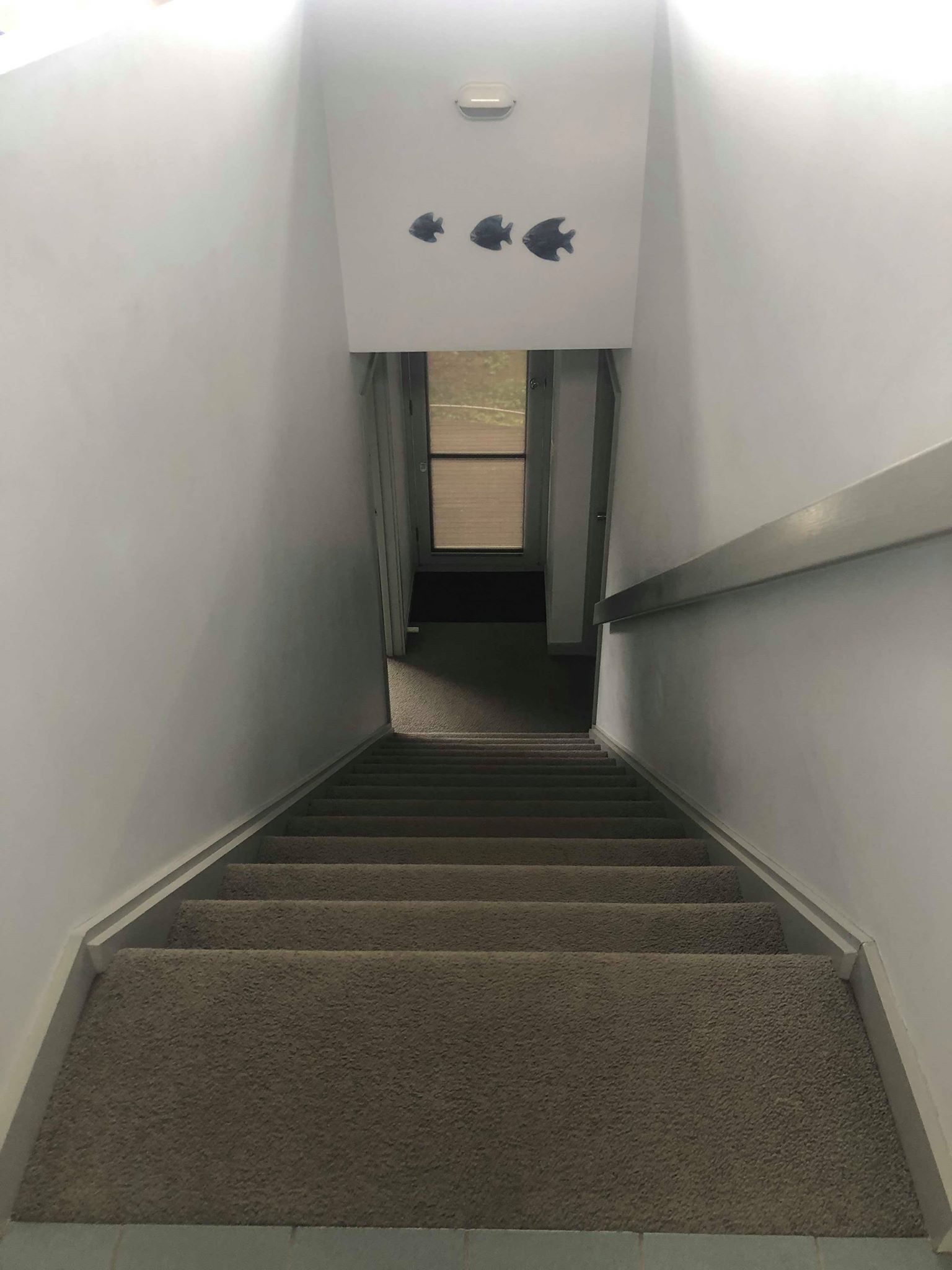 72075403_2649822731709173_161190036719534080_n