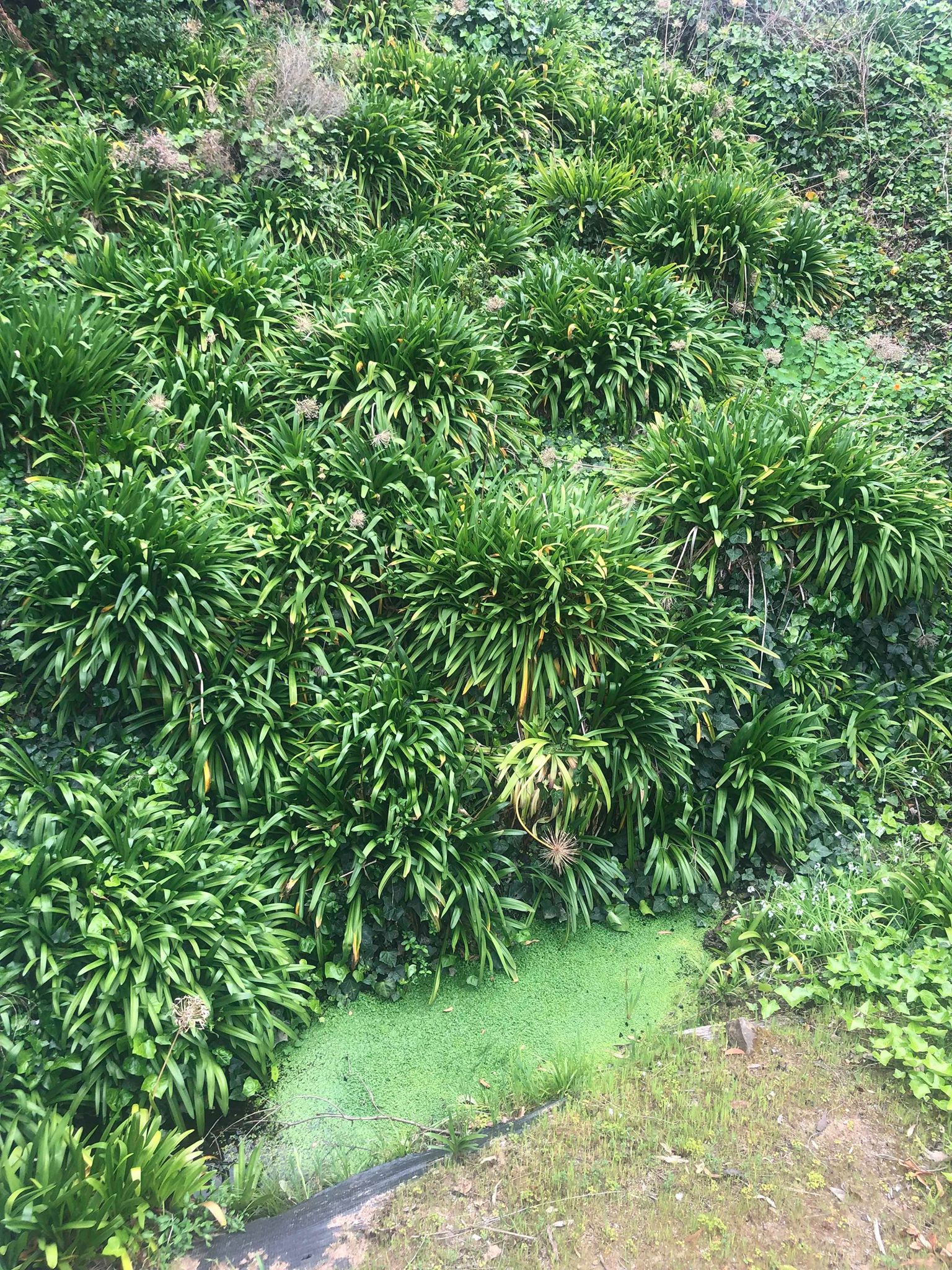 72241800_517828052374417_1426206378115989504_n