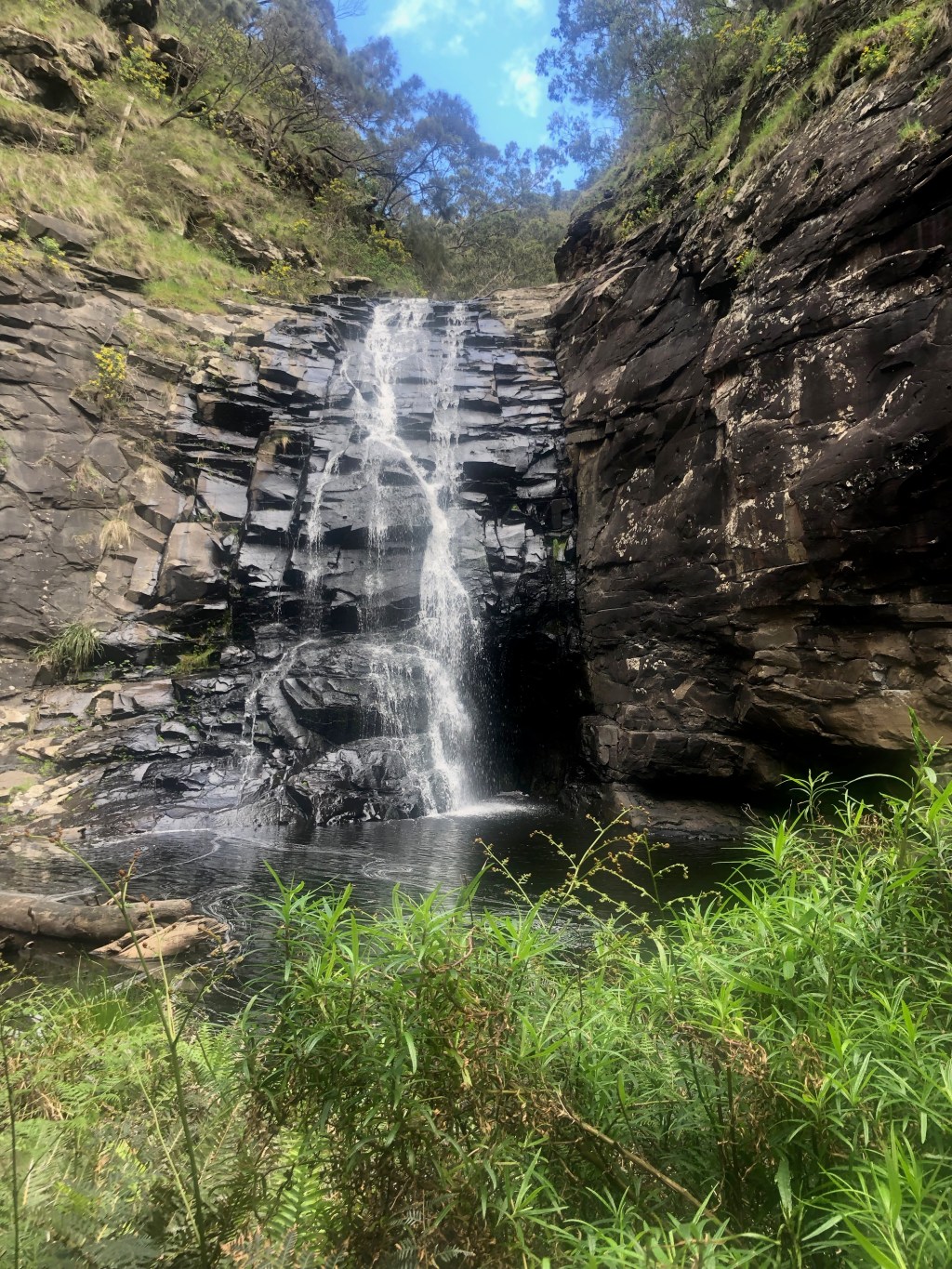 5 Things You Should Repair Not&nbsp;Replace