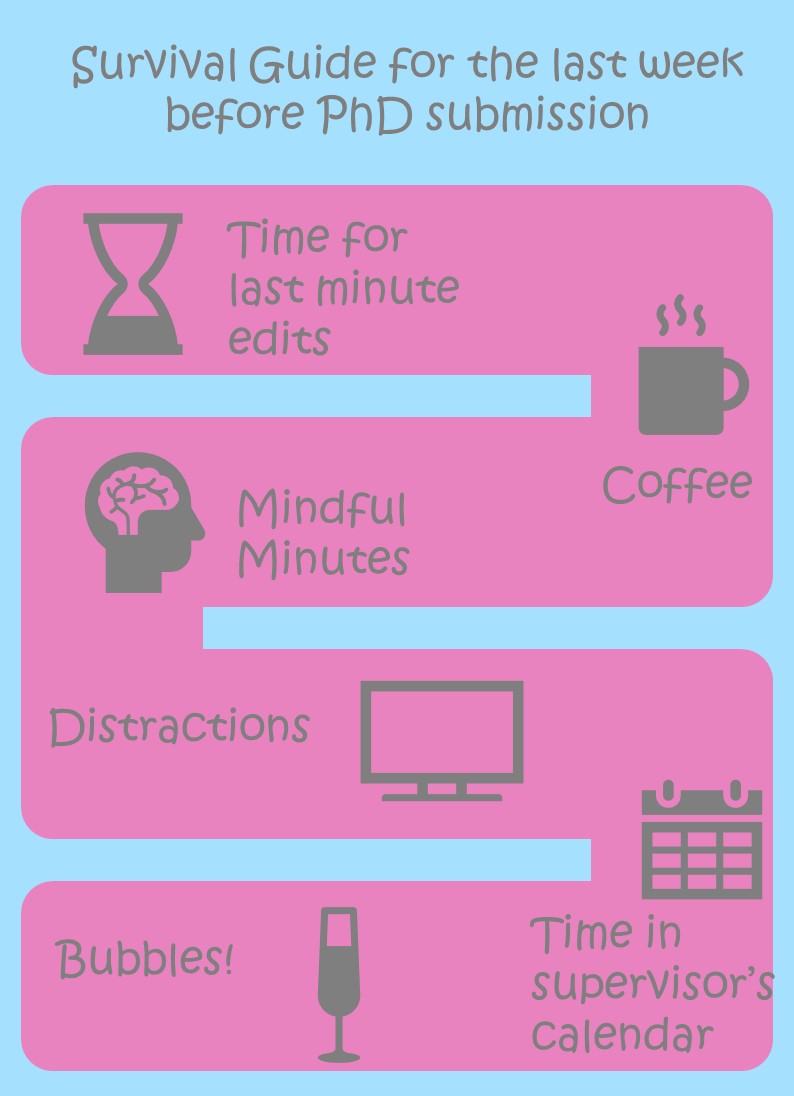 Survival Guide of the last week before PhD&nbsp;Submission