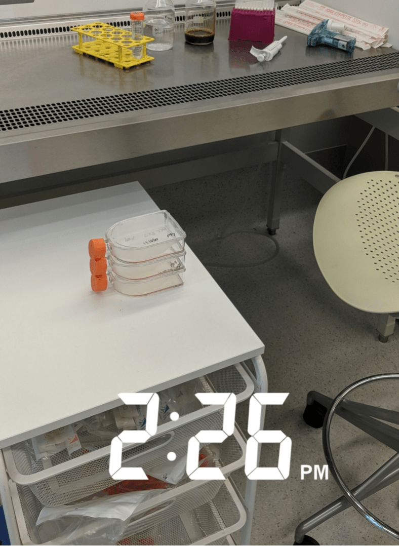 Screen Shot 2019-10-09 at 8.27.11 pm