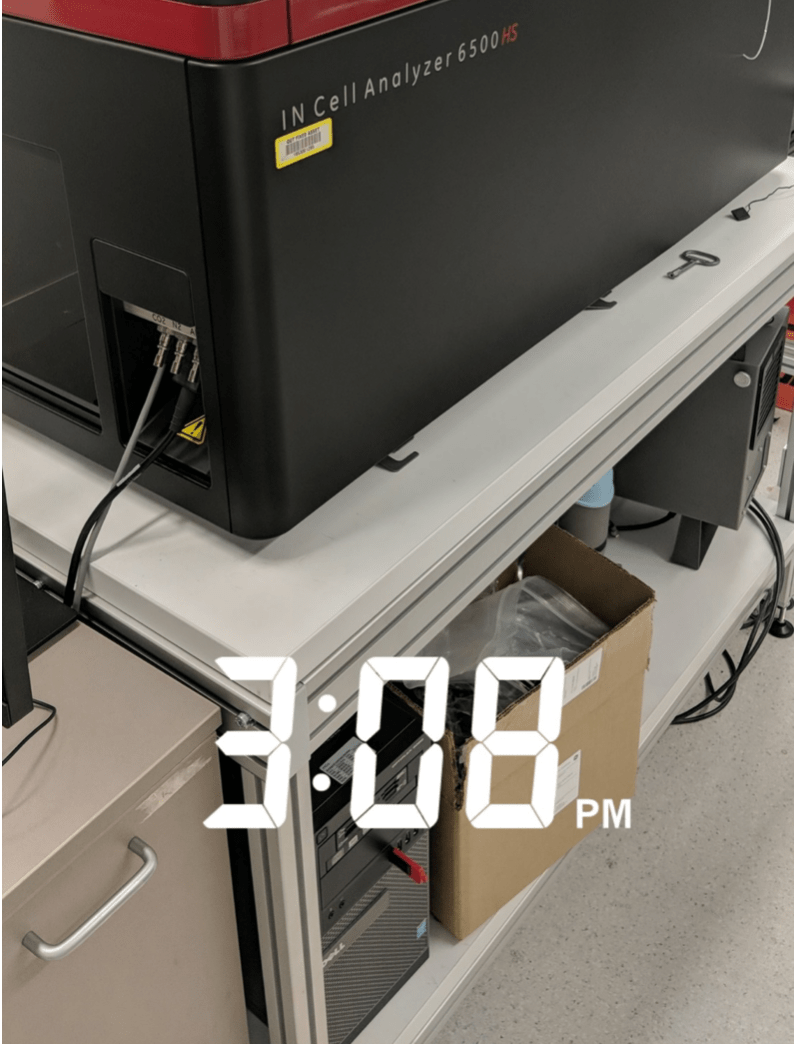 Screen Shot 2019-10-09 at 8.27.17 pm