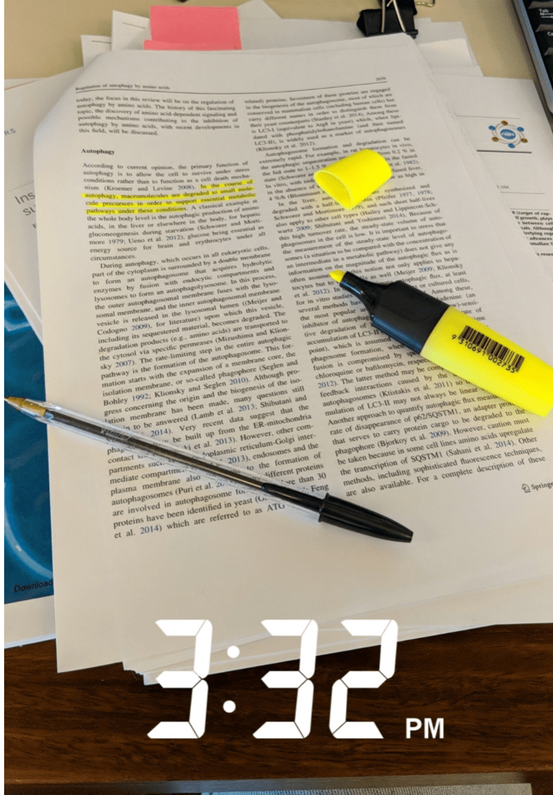 Screen Shot 2019-10-09 at 8.27.23 pm