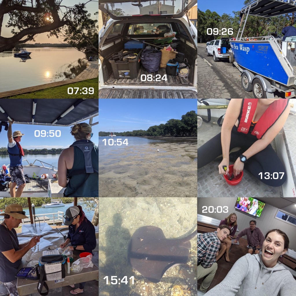 Featured Day in the Life of; Joni, PhD candidate in The Fish&nbsp;Lab.