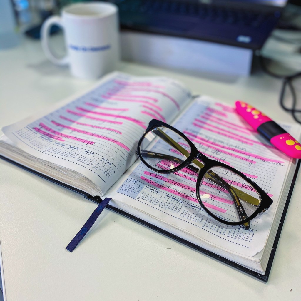 PhD Survival Guide: What I learnt during my second year of a&nbsp;PhD