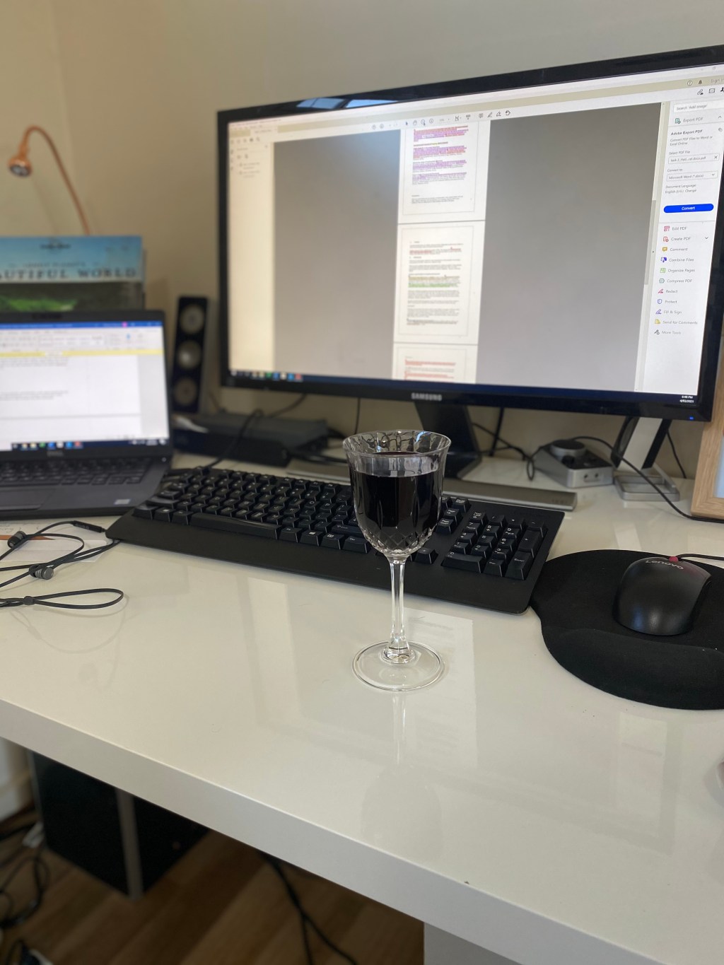 Curiosity killed the cat, but fuels&nbsp;academia