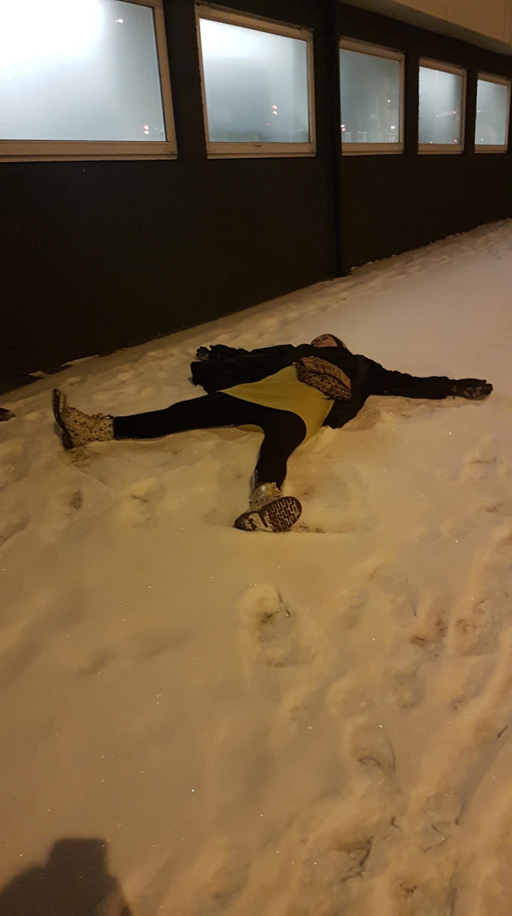 PhD Survival Guide; The&nbsp;Slump