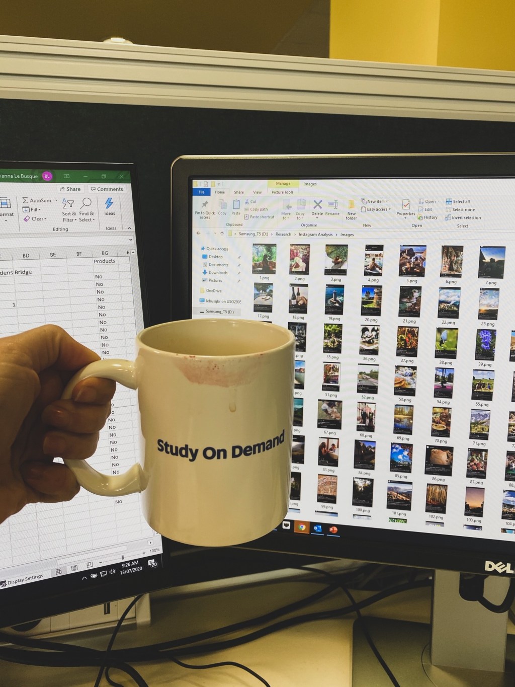 PhD Survival Guide: How to treat your PhD like a&nbsp;job