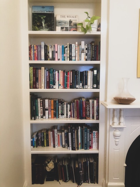 Living With A Dog: How To Keep Your House&nbsp;Clean