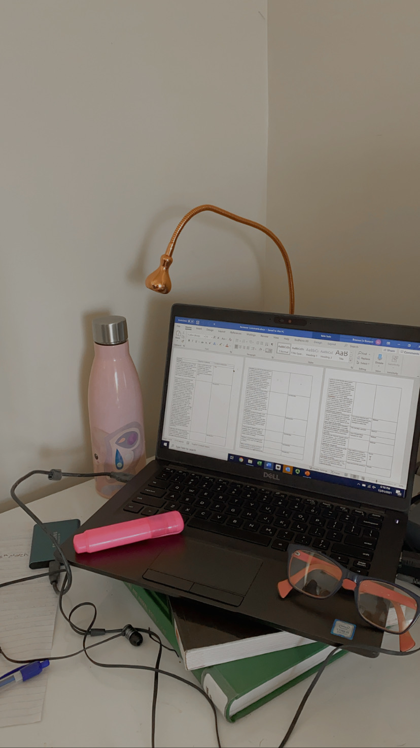 Navigating competition in early career&nbsp;academia