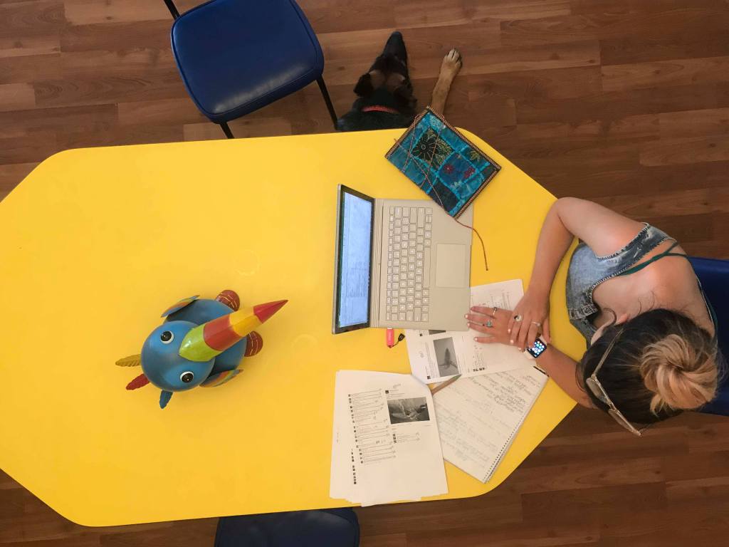 PhD Survival Guide: What I have learnt while doing a PhD & Working full&nbsp;time.