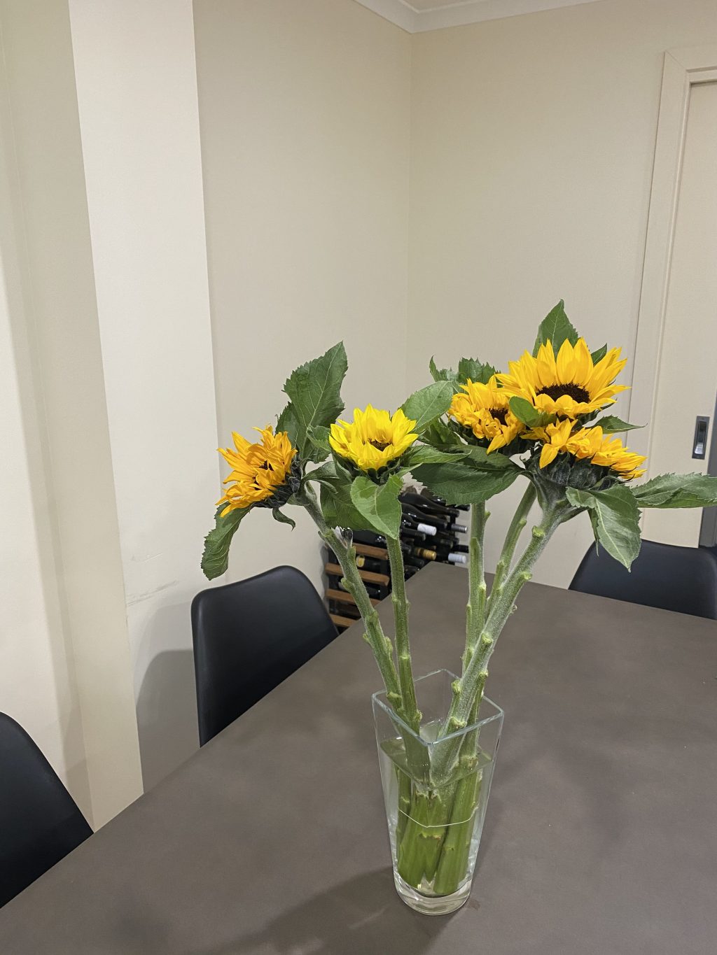 The next steps for&nbsp;Dr.ofwhat