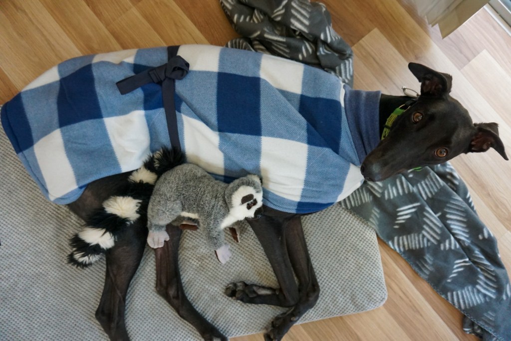 PhD Survival Guide; Tips for loved ones of&nbsp;PhD