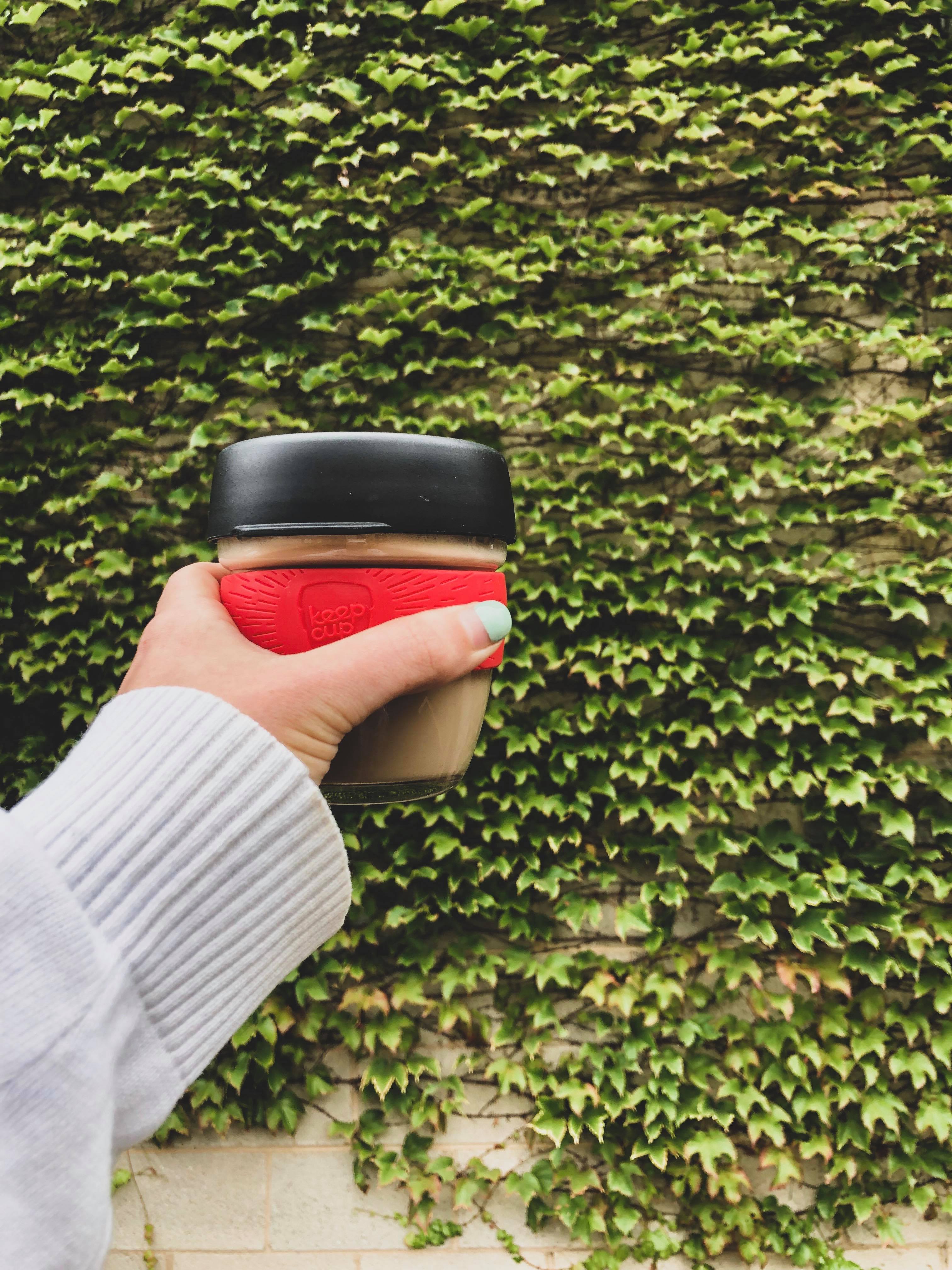 79530374_566480390593683_2613751564011044864_n