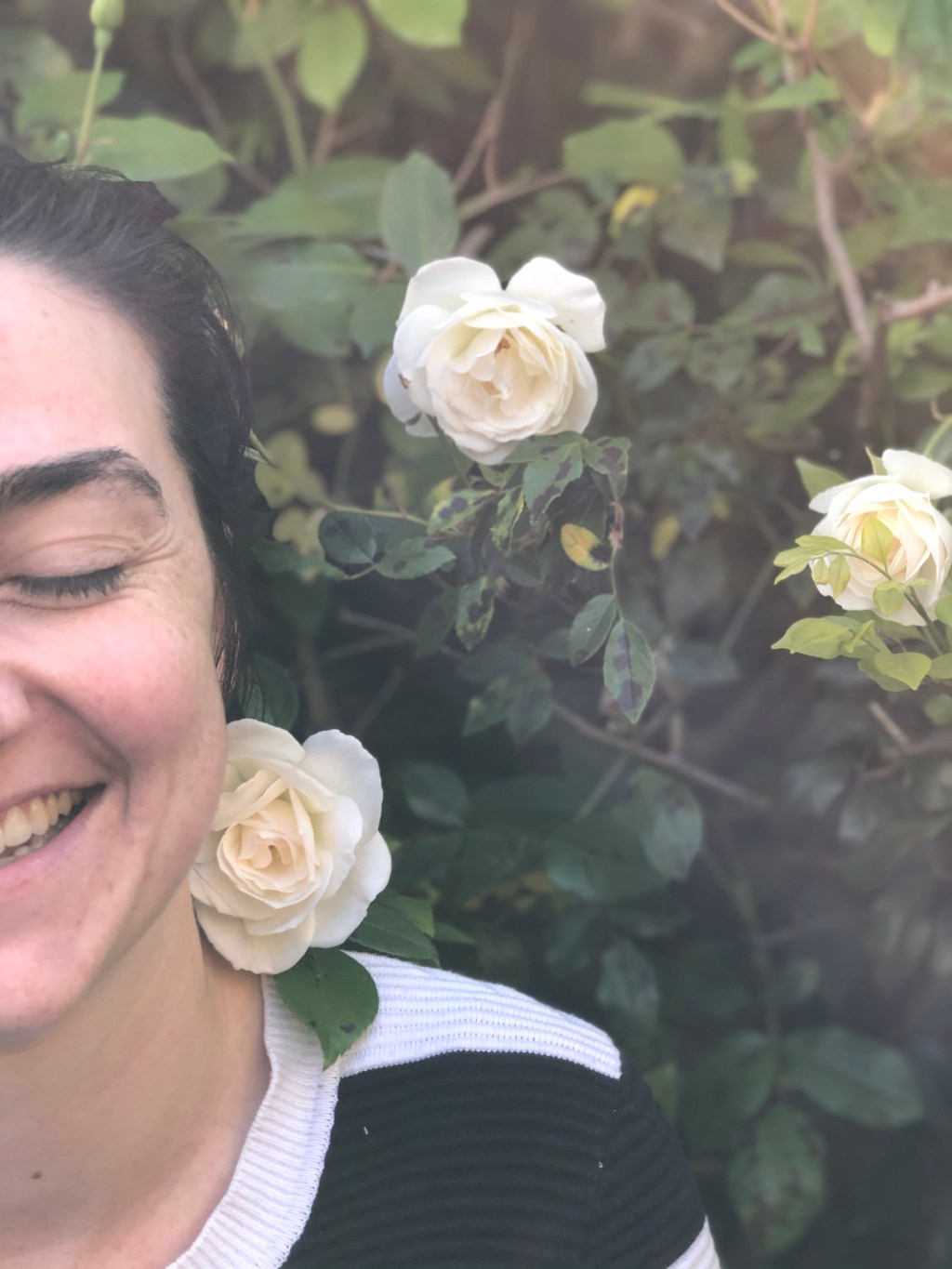 My Post PhD Submission&nbsp;Plans